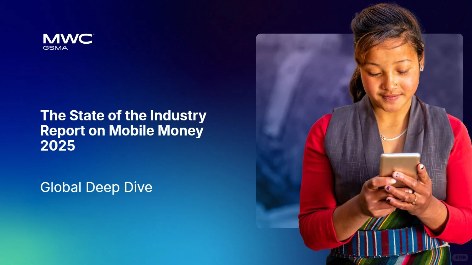 2025年全球移动货币行业状况深度研究报告