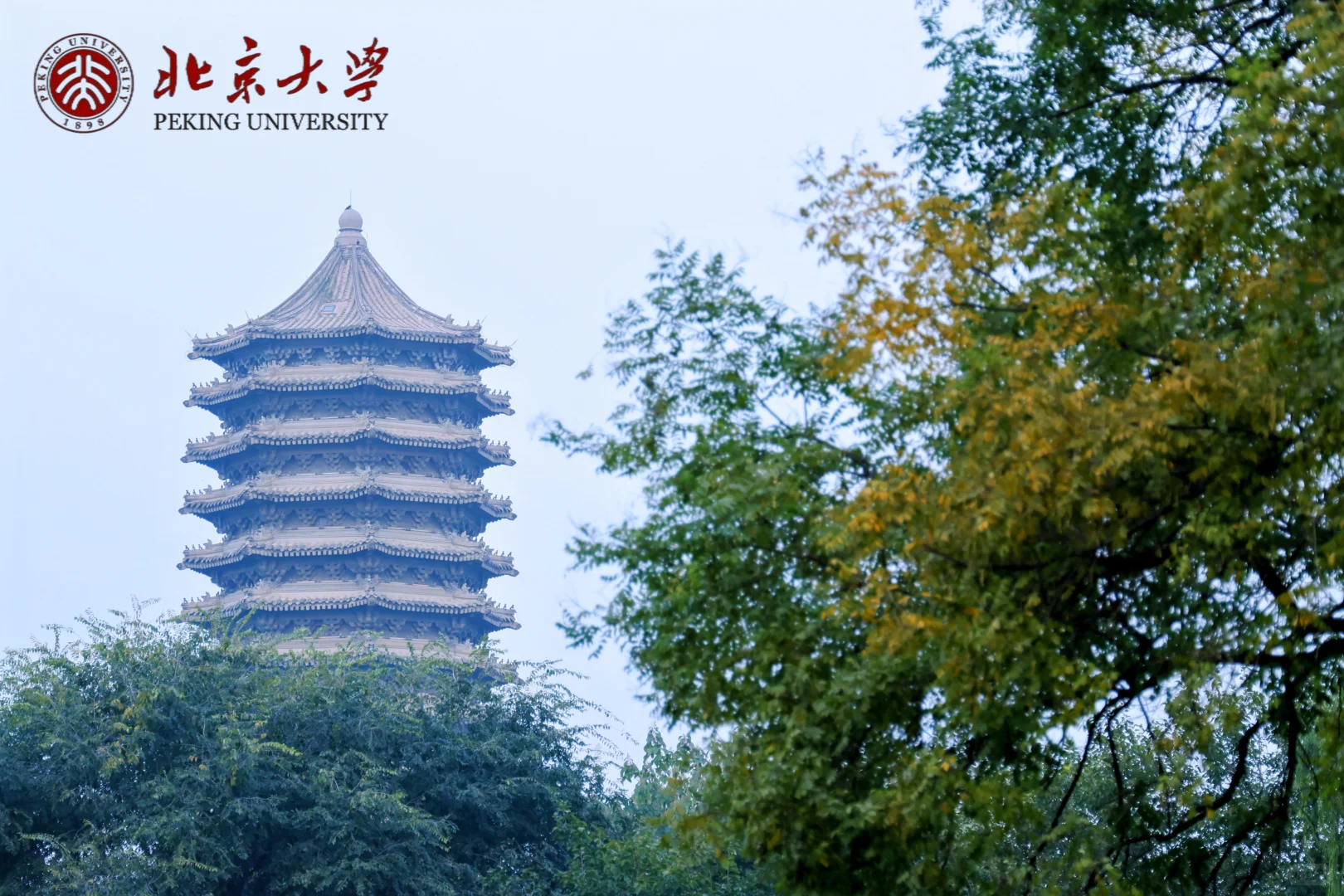 2026年北京大学新时代企业工商管理研修