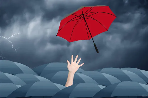 深陷同质化竞争,战略咨询为企业定制差异化