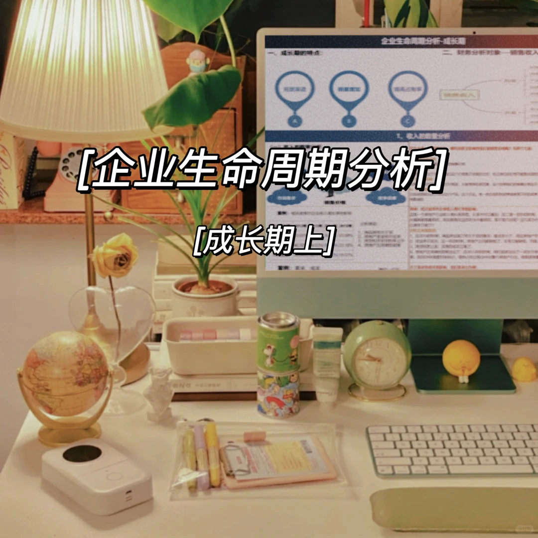 企业生命周期分析-成长期（上)