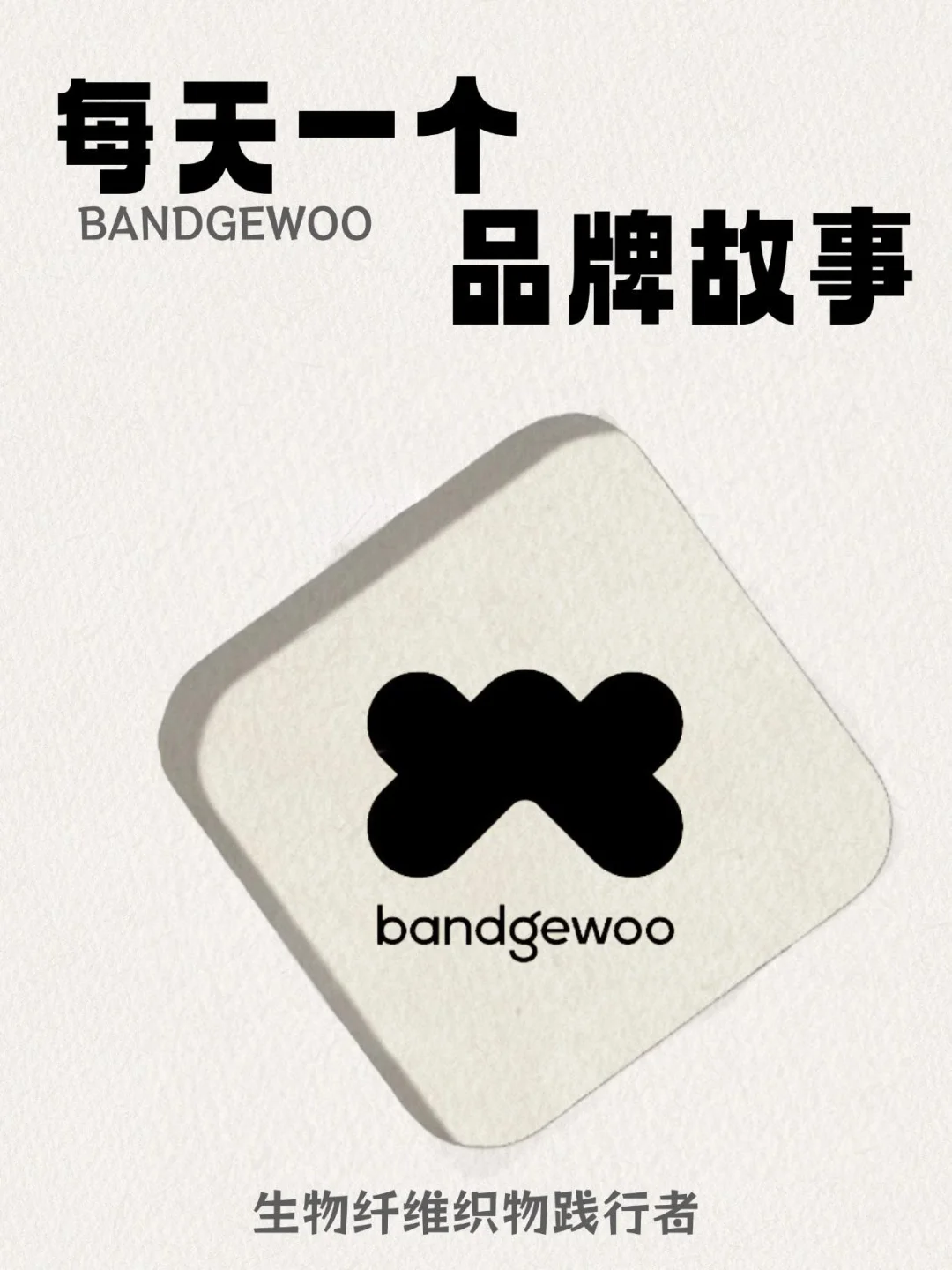 100个品牌案例分析