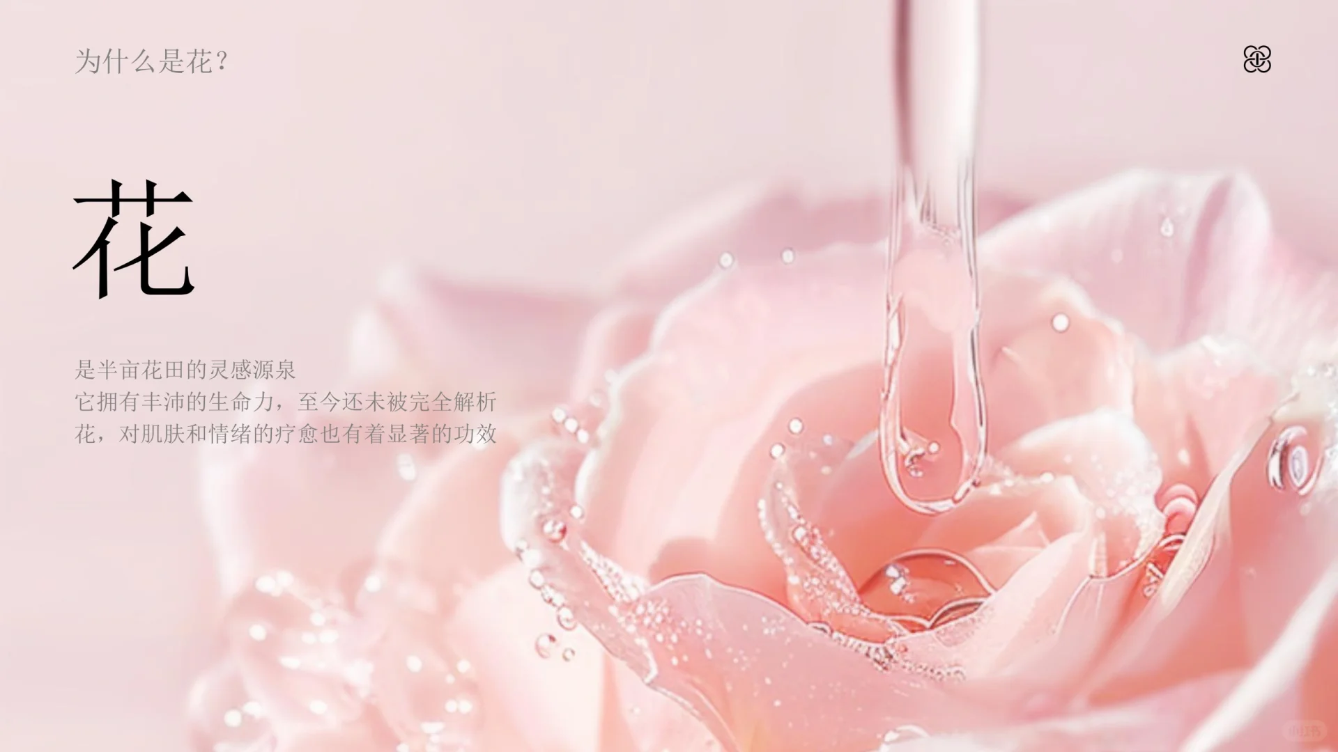 半亩花田品牌手册