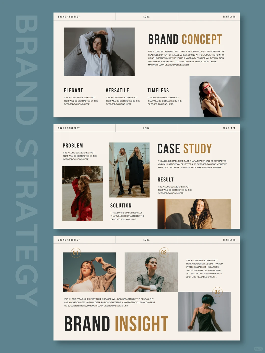 高端大气品牌战略介绍宣传画册PPT模板