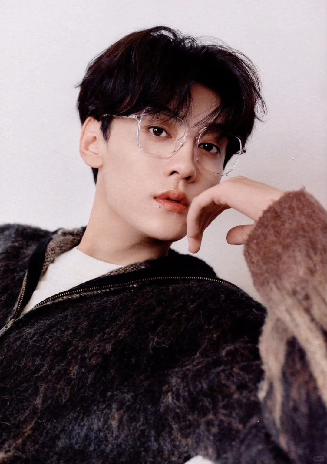 每天认识一个品牌｜派丽蒙