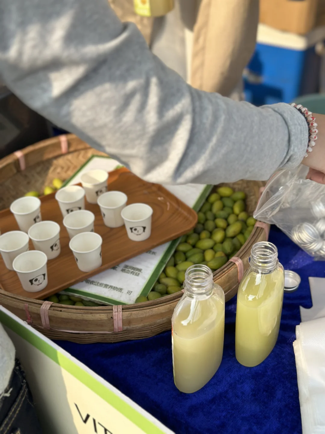 ?️2025顺德机车文化节【第三届】