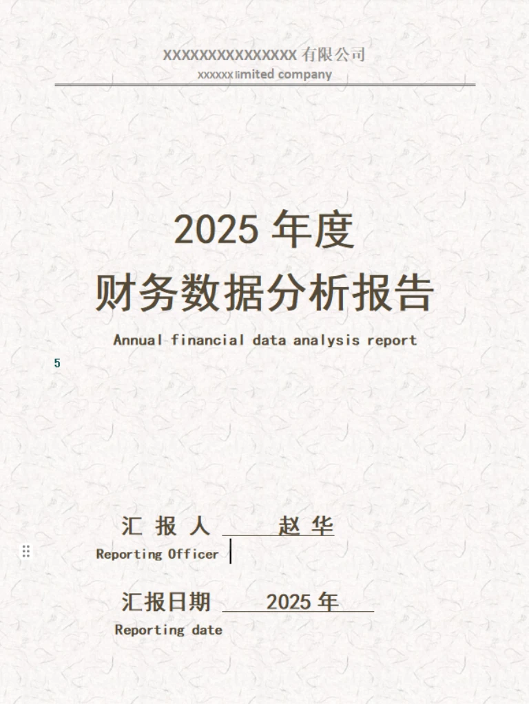 2025年财务数据分析报告