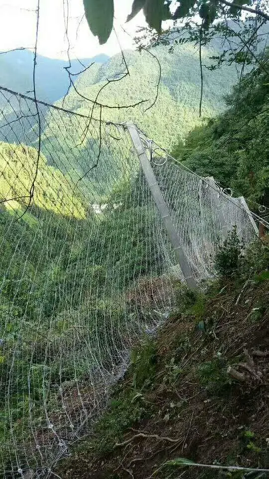 甘肃RXI100 被动防护网企业...