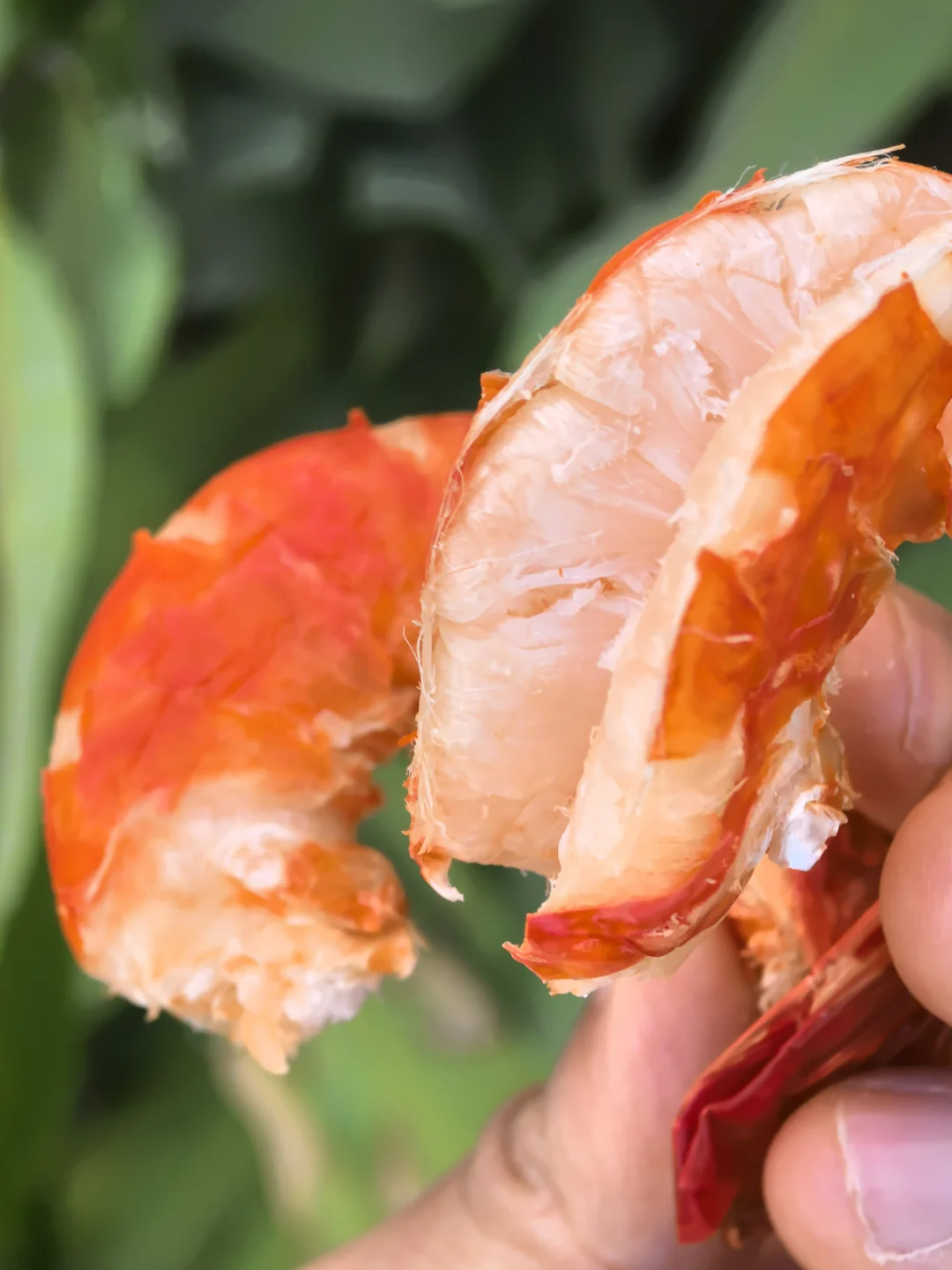 向您正式提案:将80元预算,升级100只虾干