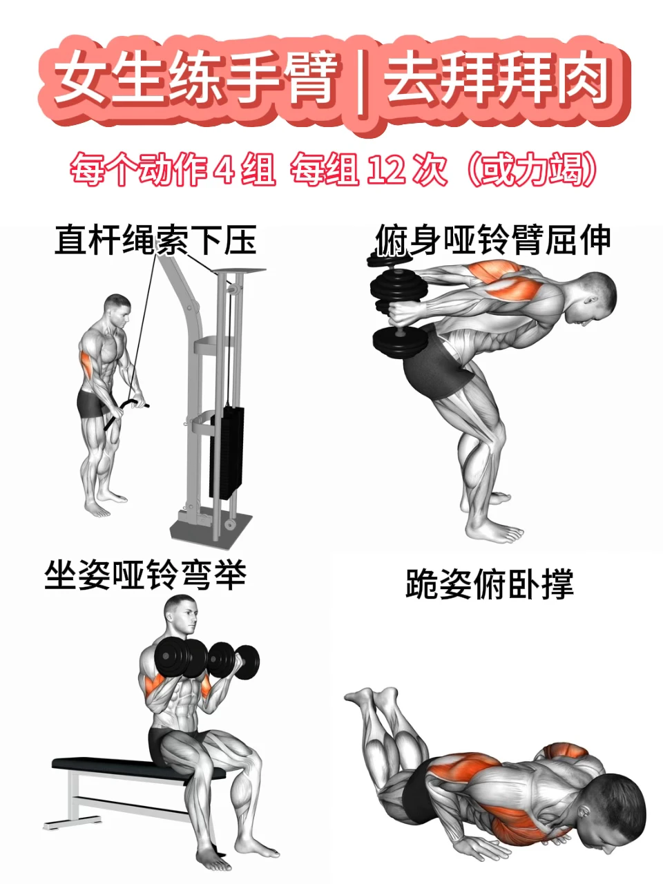 女性友好|健身房练手臂,去拜拜肉