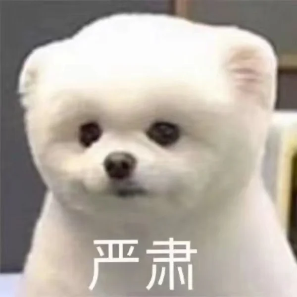 去国央企投融资,先卷投行实习❓❗️