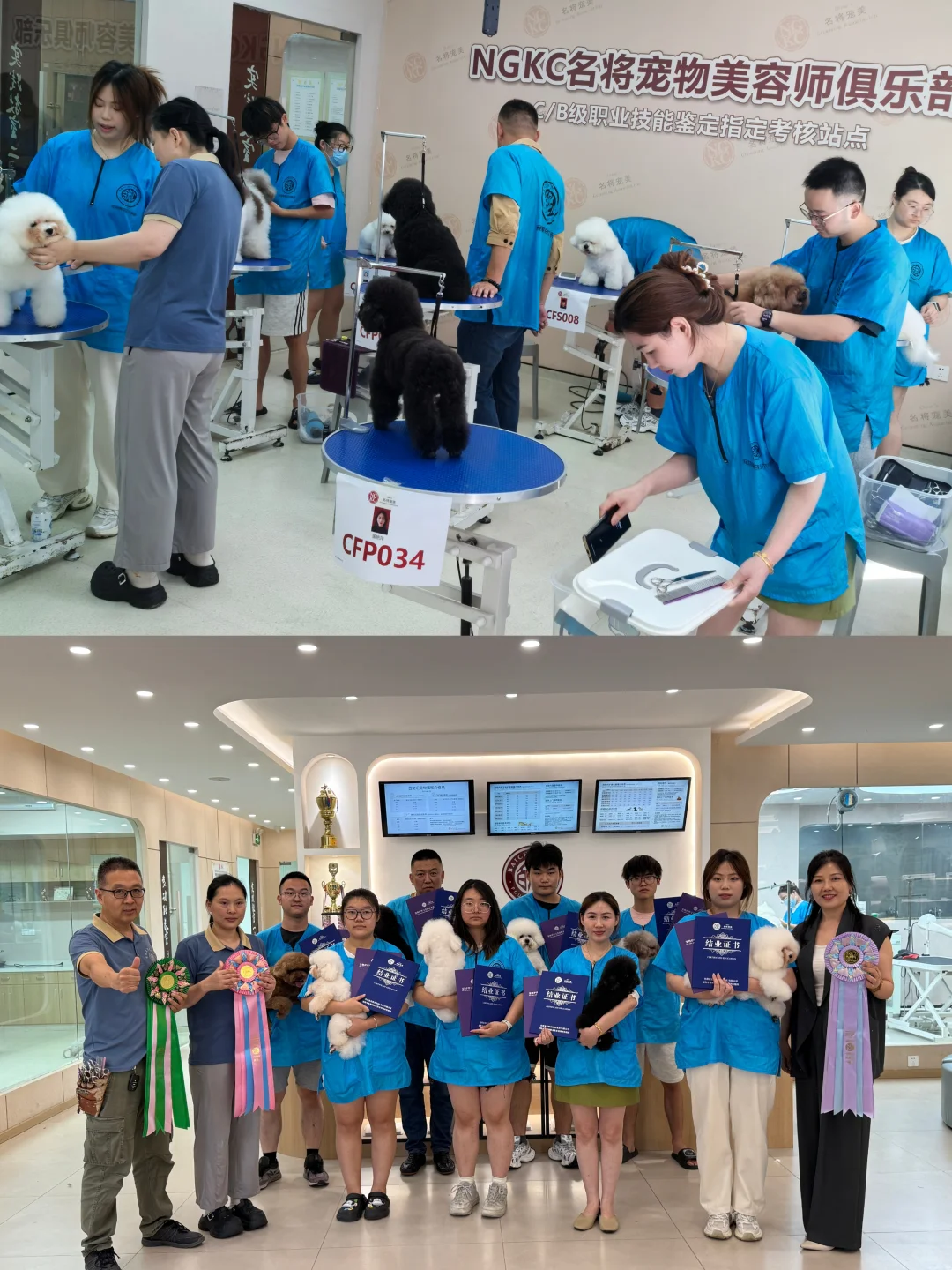 【抓住黄金赛道,成为宠物行业“手艺人”