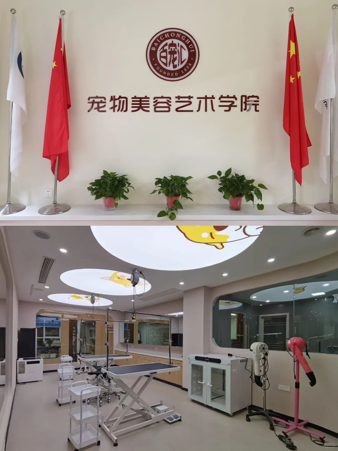 【抓住黄金赛道,成为宠物行业“手艺人”