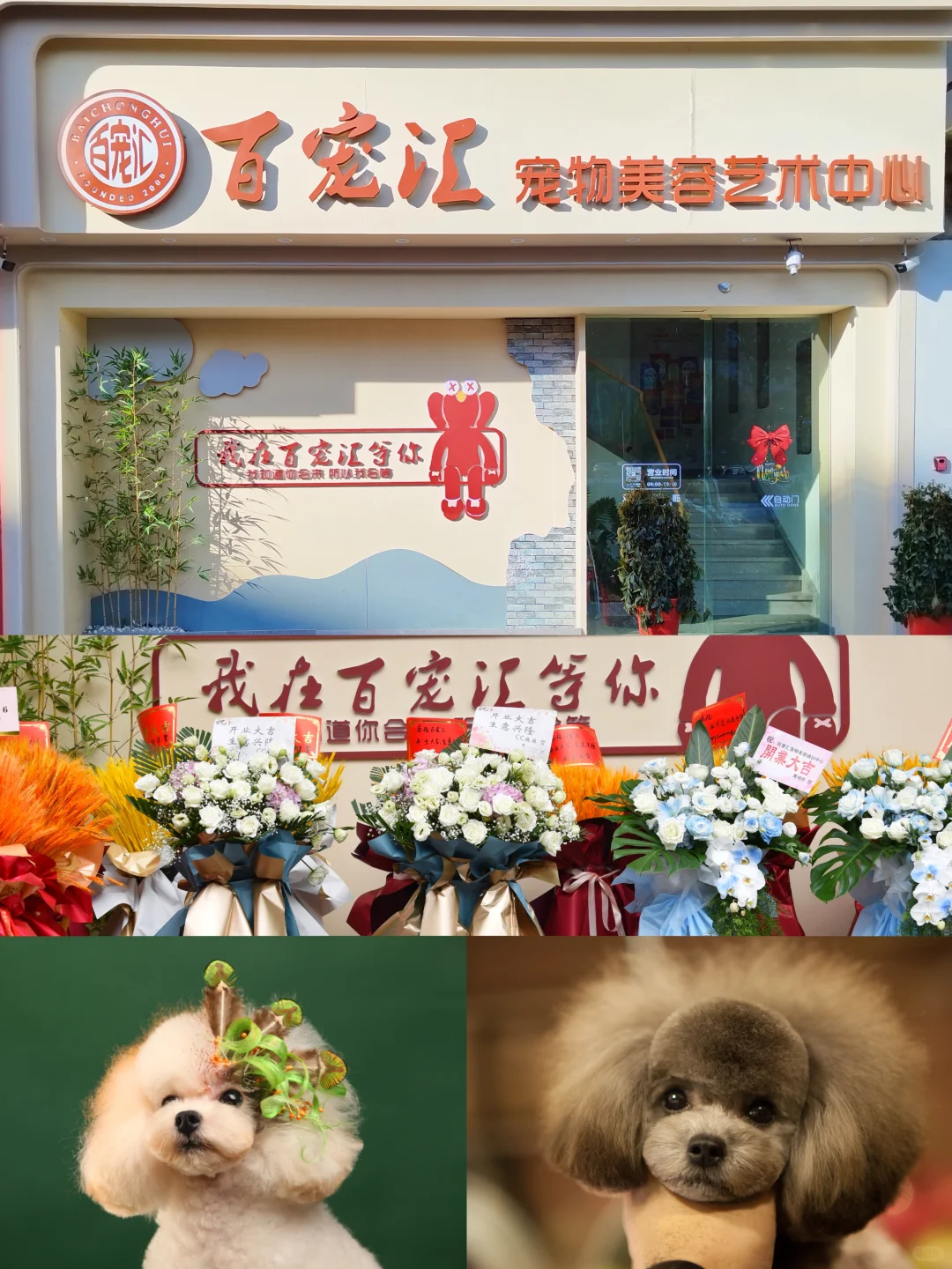 【抓住黄金赛道,成为宠物行业“手艺人”