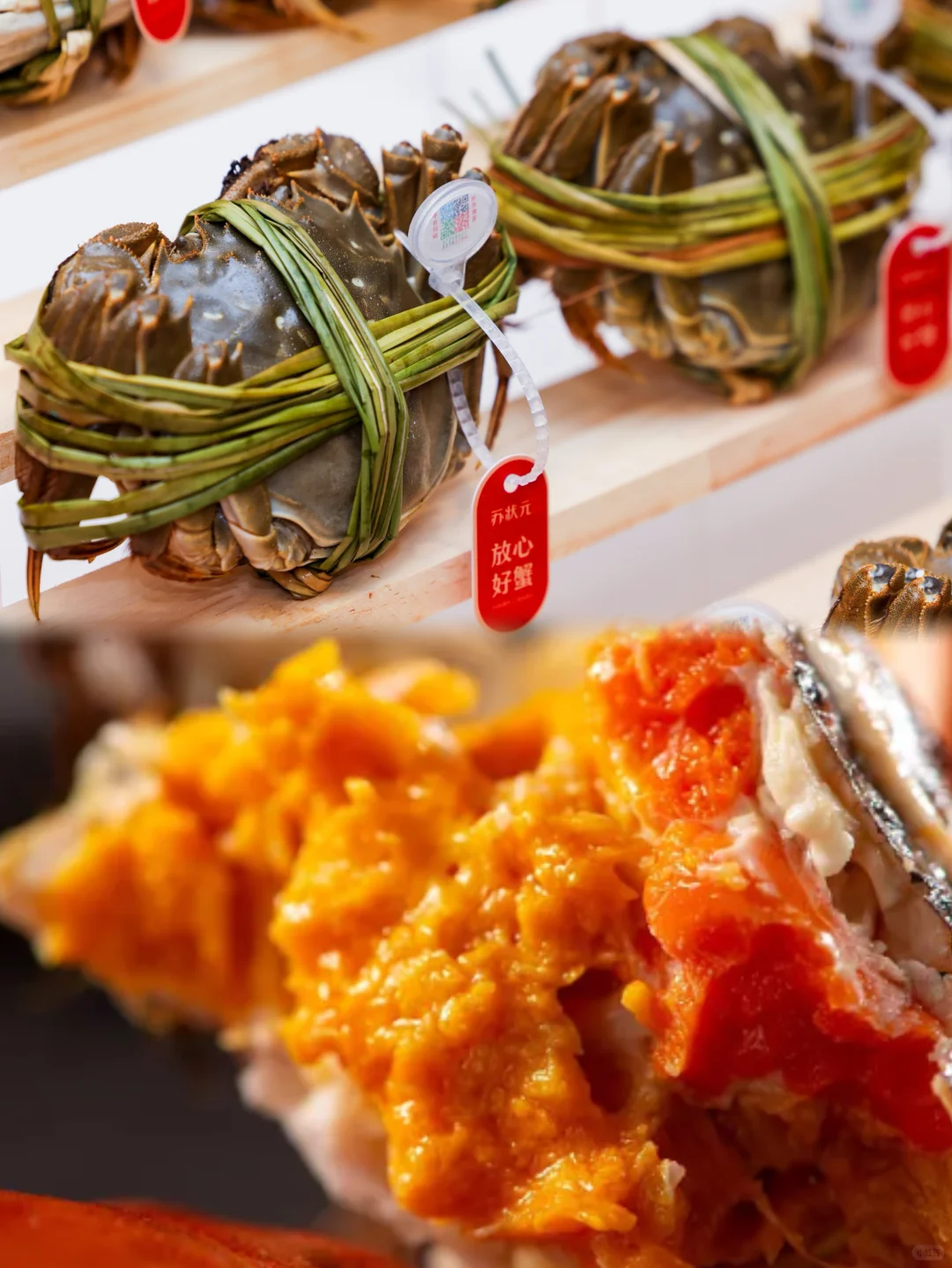 报!苏状元大闸蟹又又又获博鳌论坛认可?