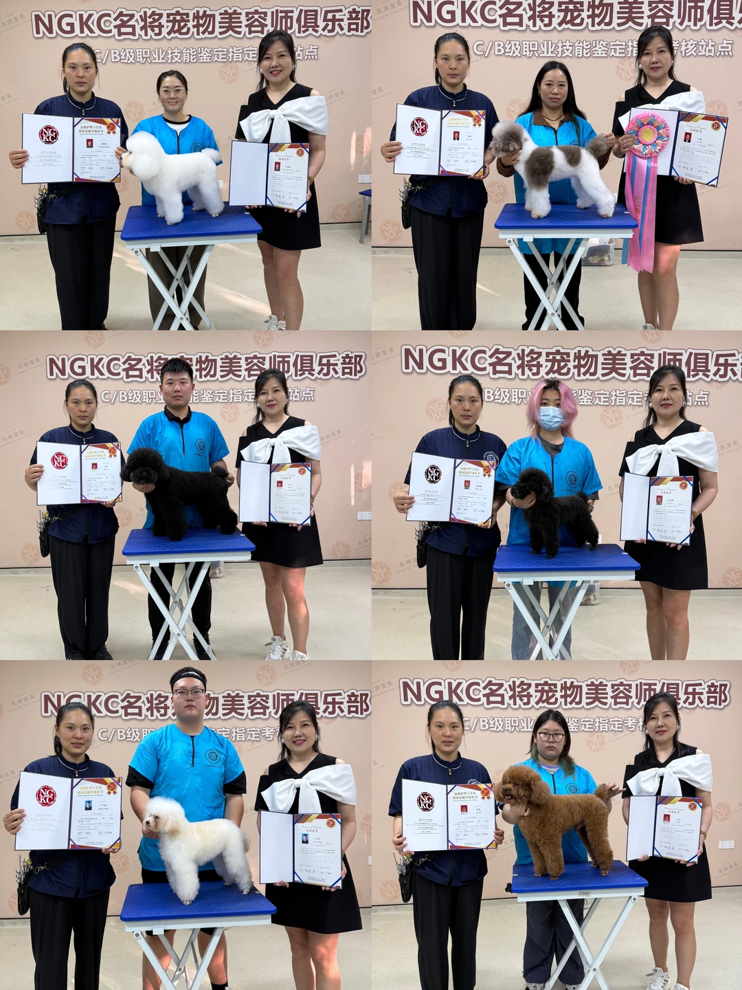 【抓住黄金赛道,成为宠物行业“手艺人”