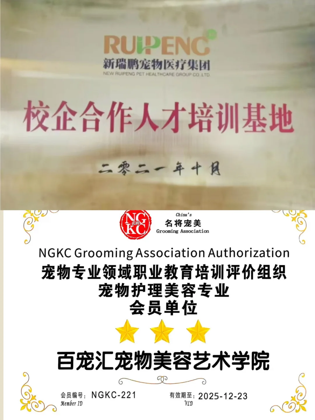 【抓住黄金赛道,成为宠物行业“手艺人”