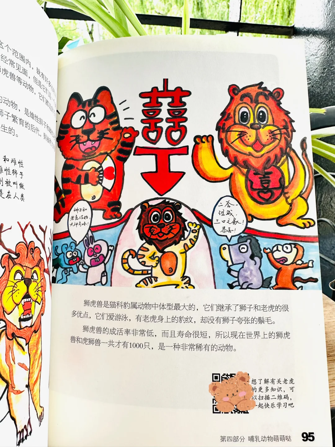 后悔没早发现，观察笔记这么香⁉️娃们亲手绘