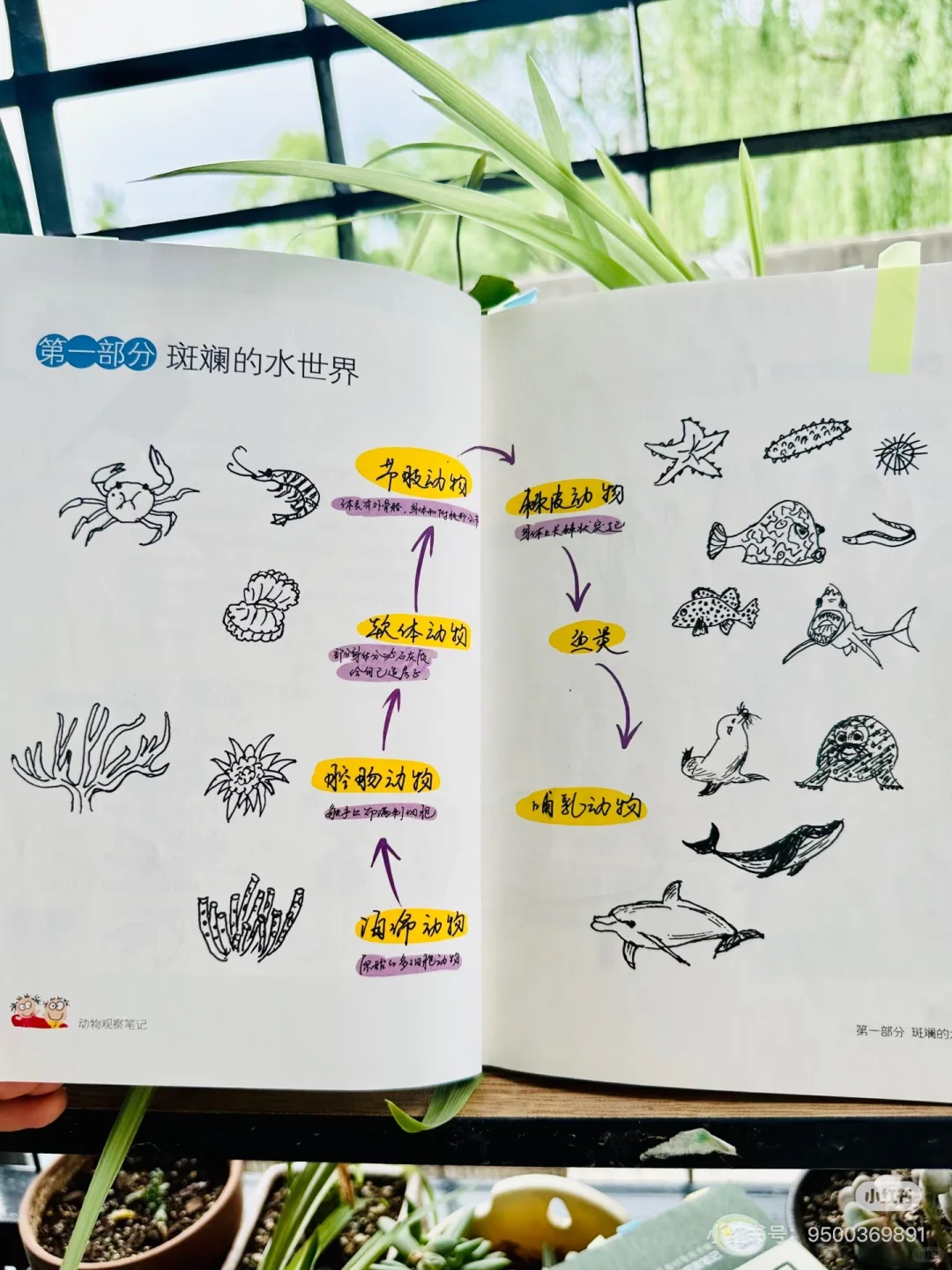 后悔没早发现，观察笔记这么香⁉️娃们亲手绘