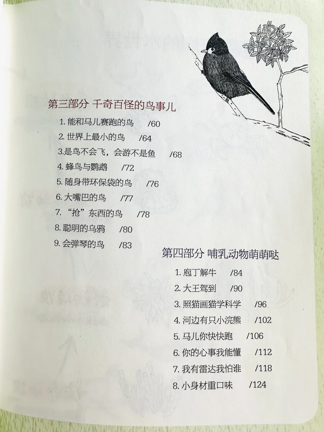 后悔没早发现，观察笔记这么香⁉️娃们亲手绘