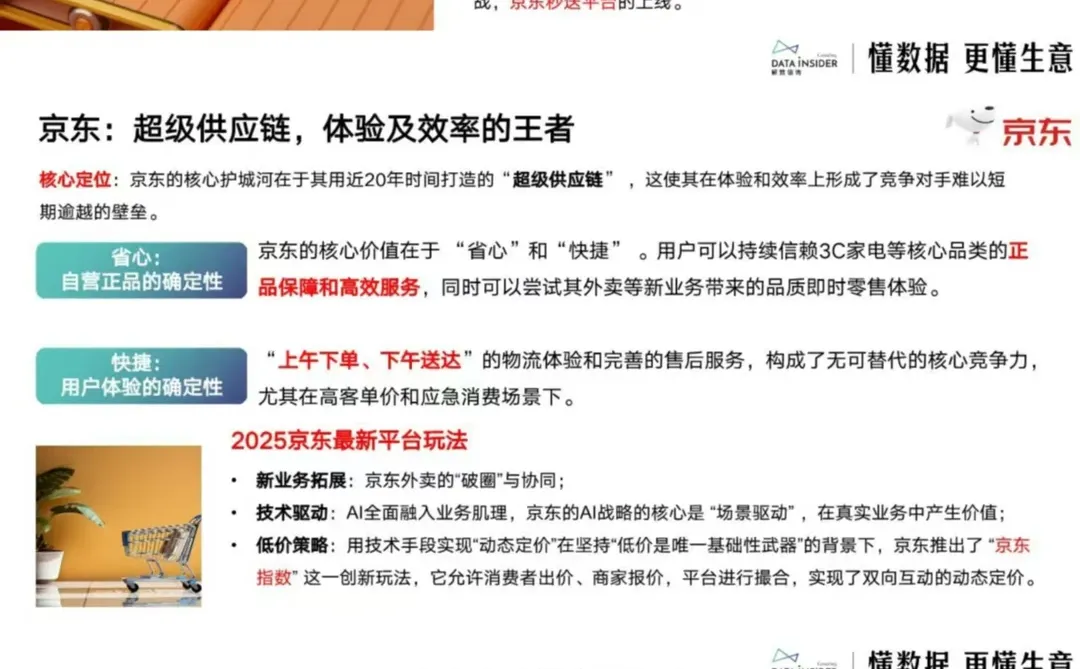 赢战 2025?电商趋势与平台策略大揭秘