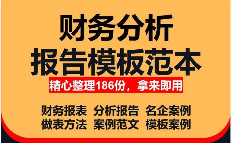 财务报表分析报告模板上市成品公司财务
