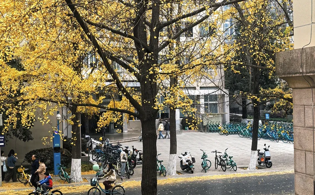 中美欧低空经济发展的一点思考