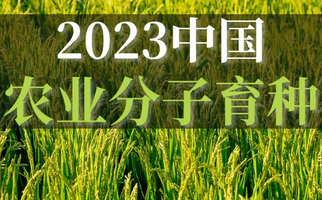 83页报告|中国农业分子育种行业白皮书