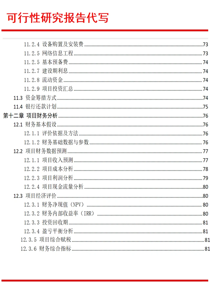 可行性研究报告公司编写:代写可行性报告