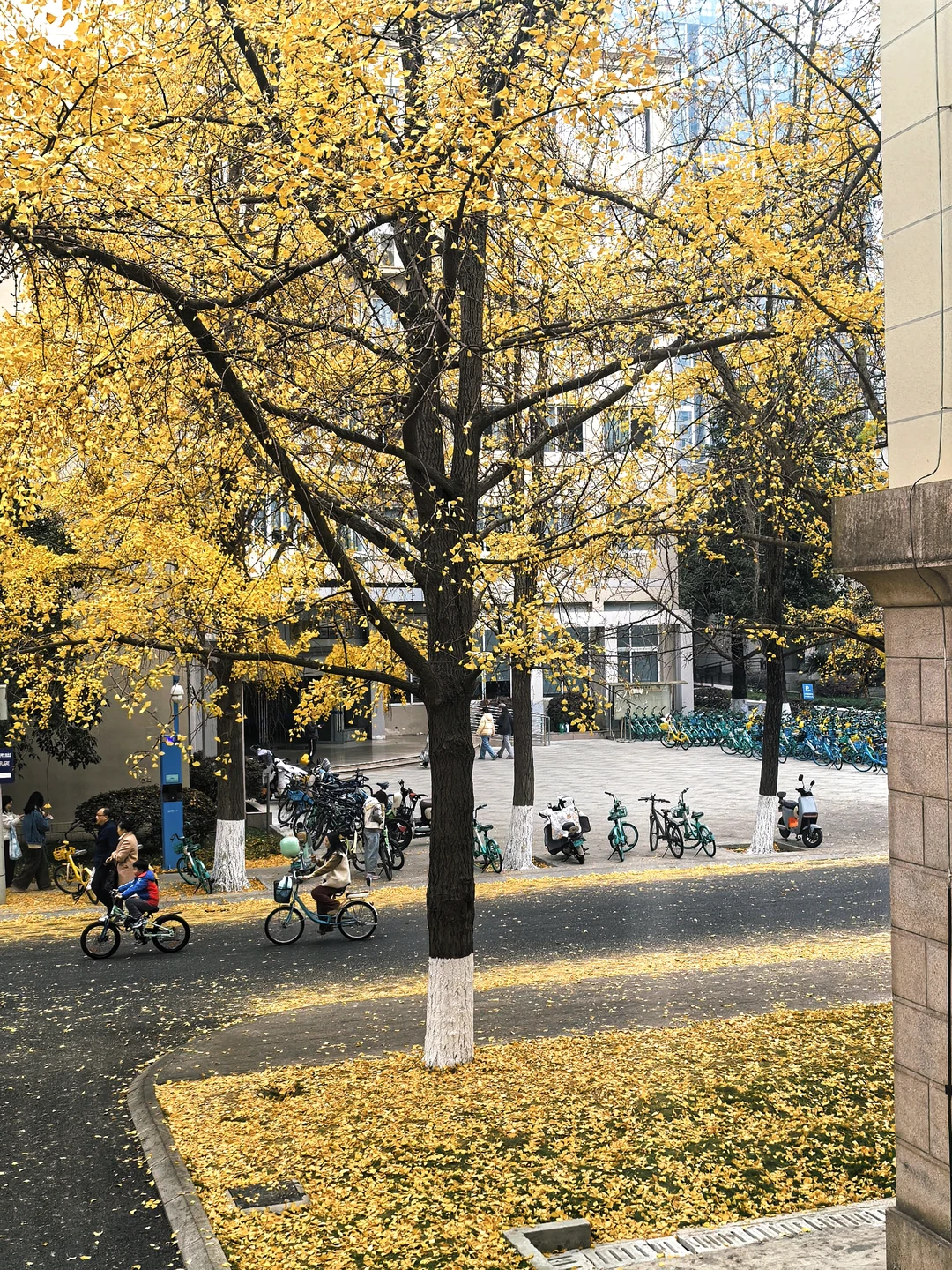 中美欧低空经济发展的一点思考