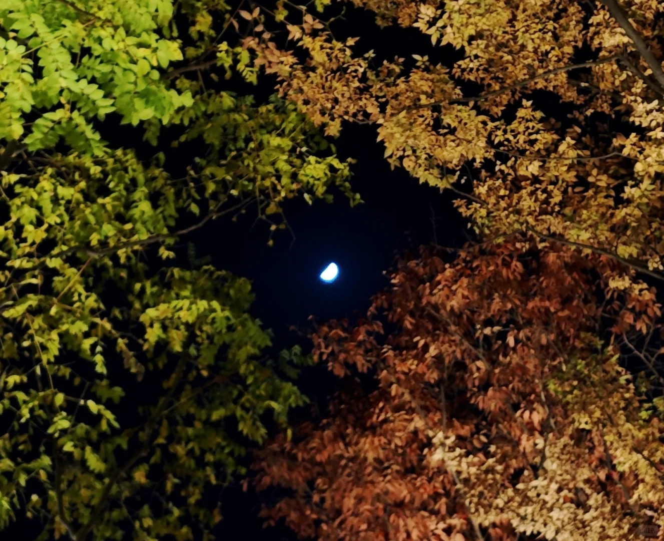 找物流行业小伙伴