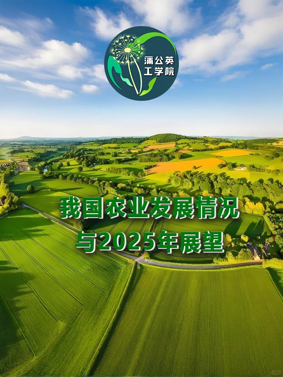 我国农业发展情况及2025年展望