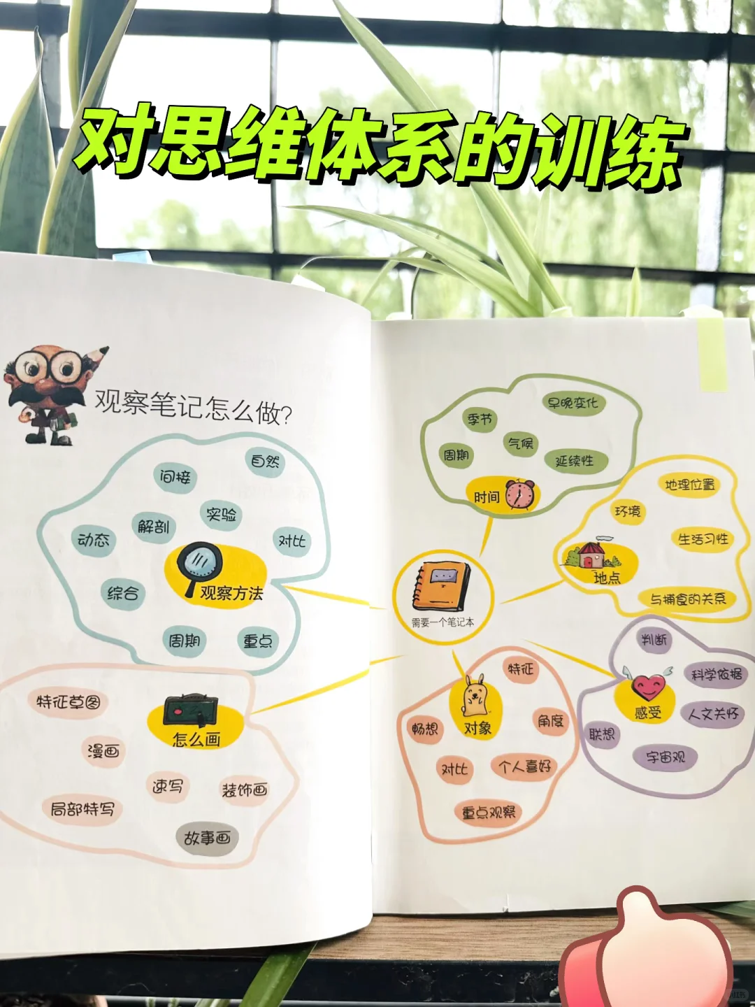 后悔没早发现，观察笔记这么香⁉️娃们亲手绘