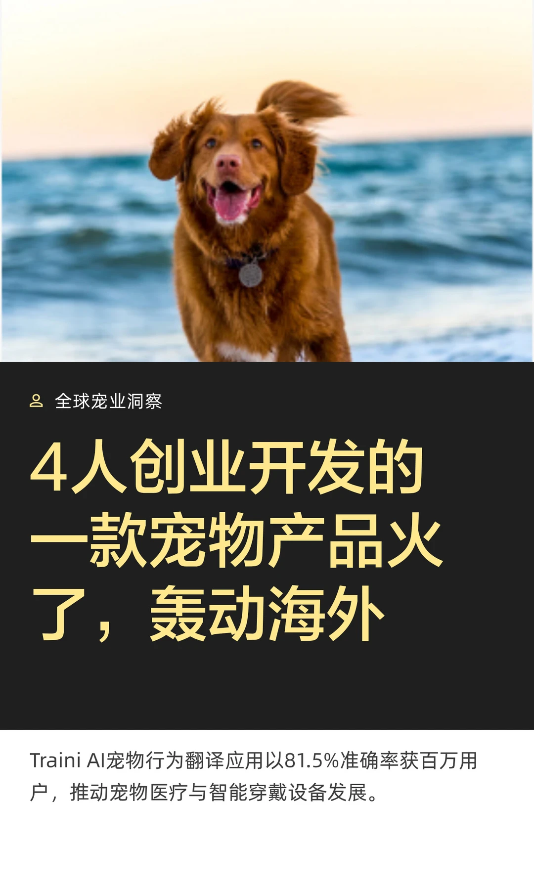 4人创业开发的一款宠物产品在海外火了