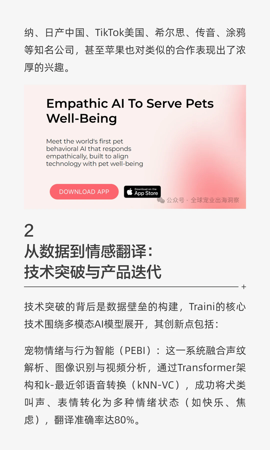 4人创业开发的一款宠物产品在海外火了