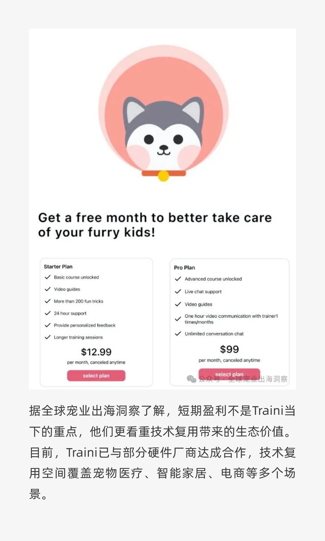 4人创业开发的一款宠物产品在海外火了