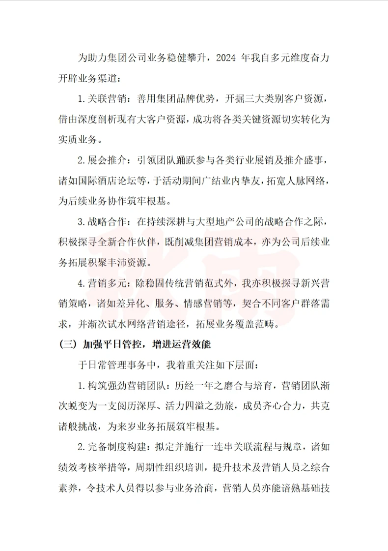 集团副总经理2024年度工作总结