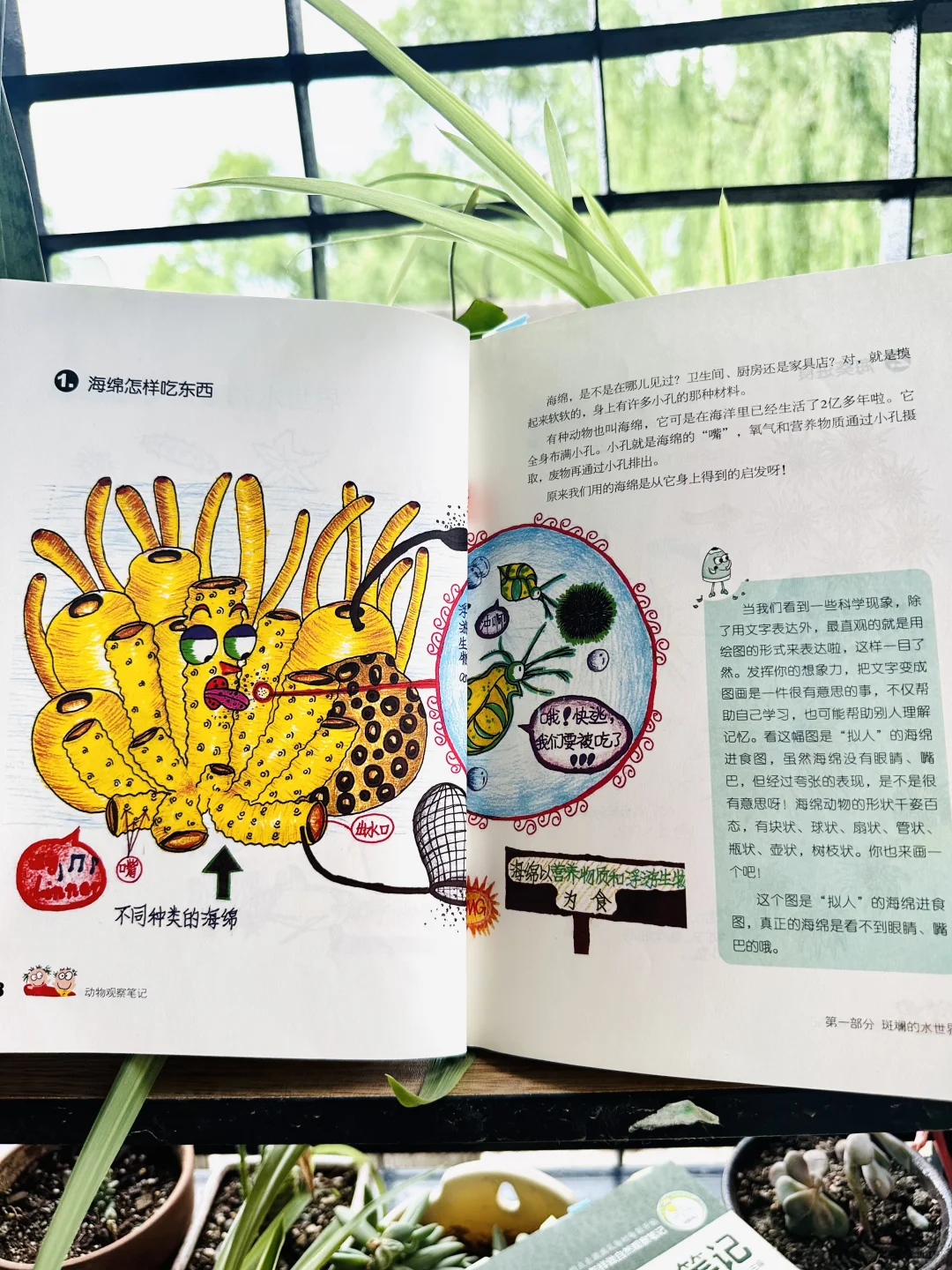 后悔没早发现，观察笔记这么香⁉️娃们亲手绘