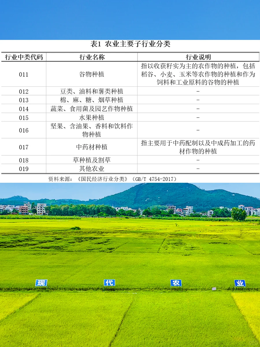 我国农业发展情况及2025年展望