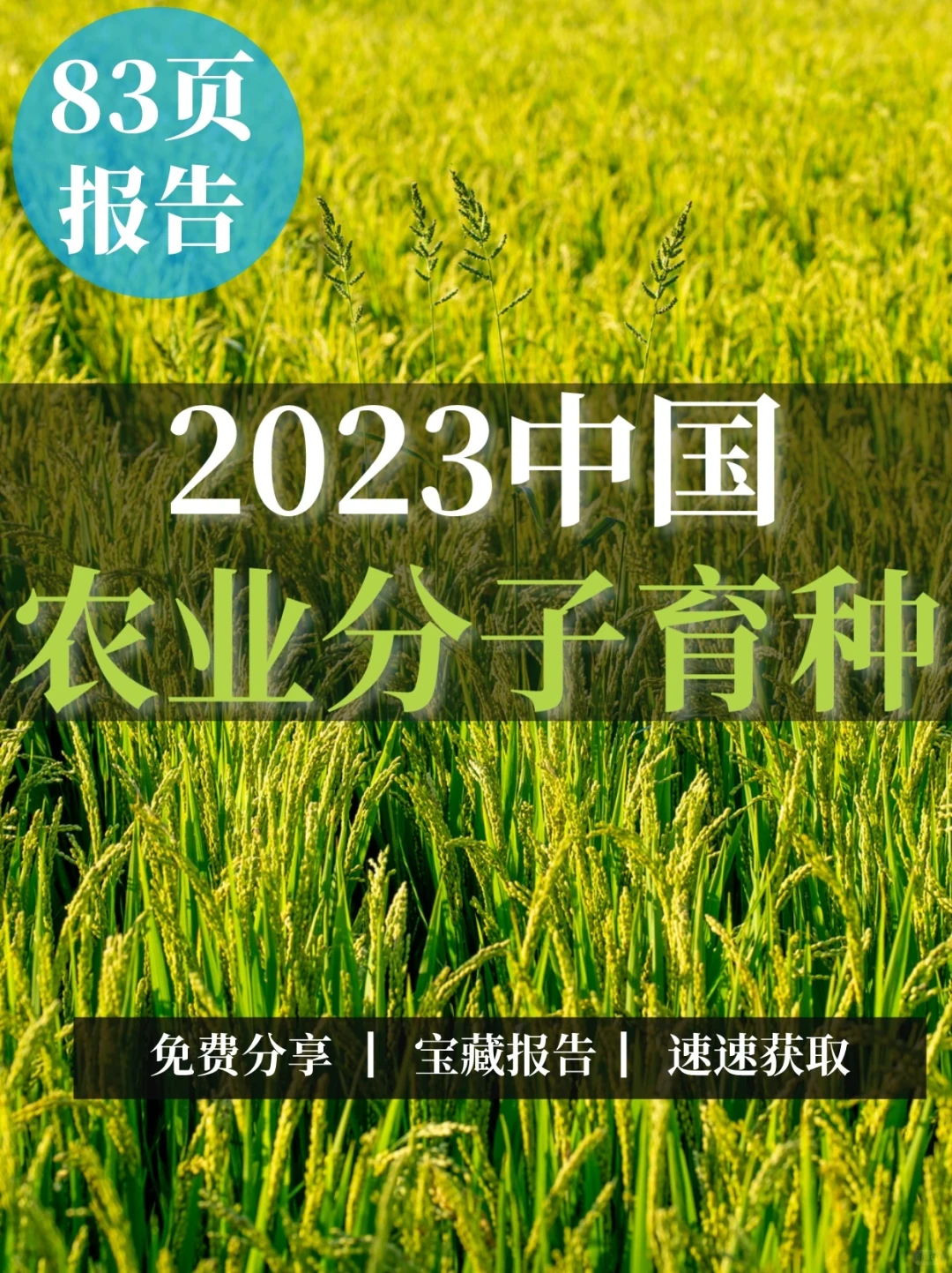 83页报告|中国农业分子育种行业白皮书