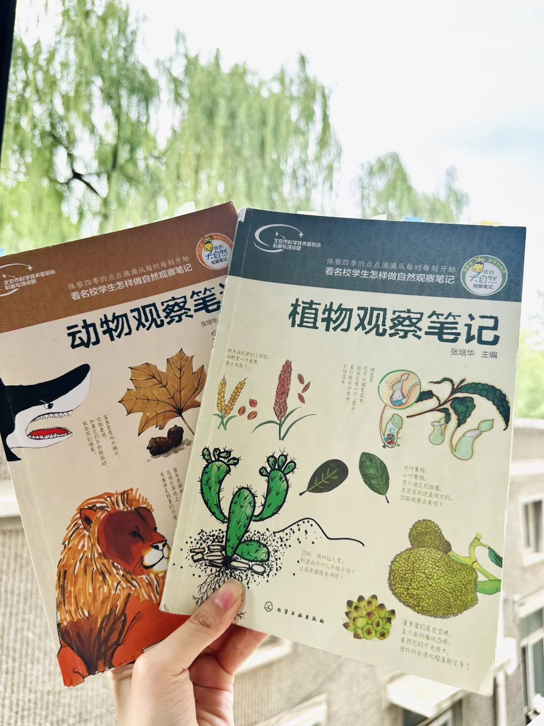 后悔没早发现，观察笔记这么香⁉️娃们亲手绘