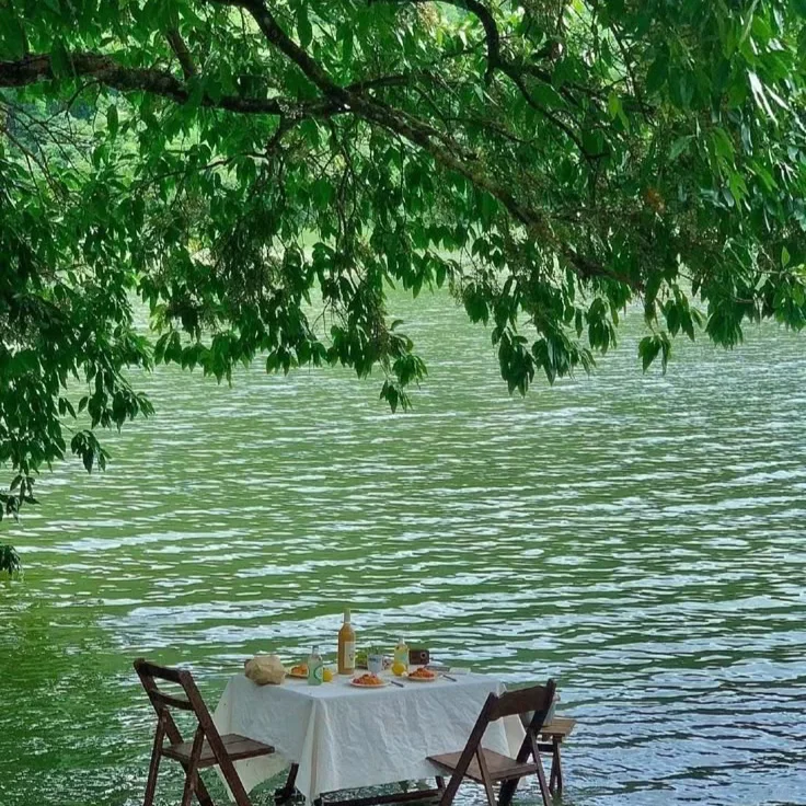 券商研究所大消费实习生招聘【Base上海，近期