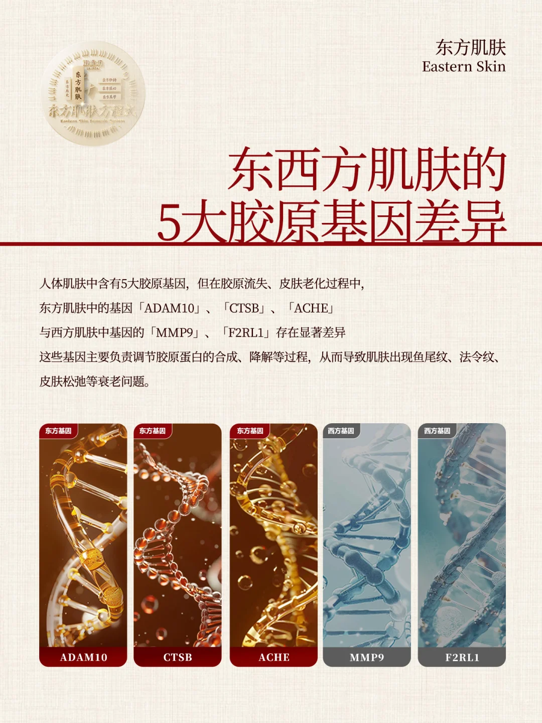 《2+3东方肌肤方程式》东方肌肤篇