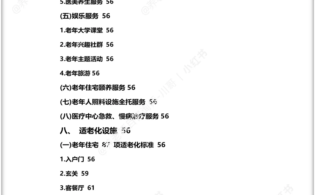 养老项目大健康运营方案/养老项目技术标书