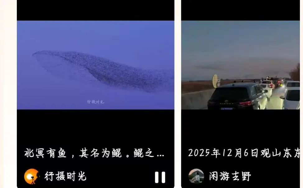 品牌想上抖音热榜？先搞懂这4个底层逻辑！