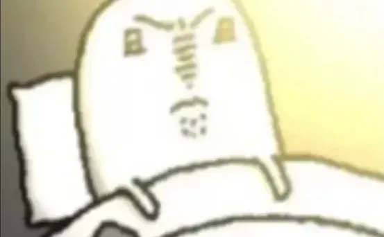 TO：首次参加河南遴选的考生！