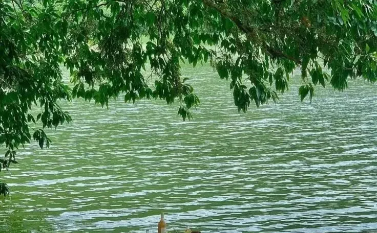 券商研究所大消费实习生招聘【Base上海，近期