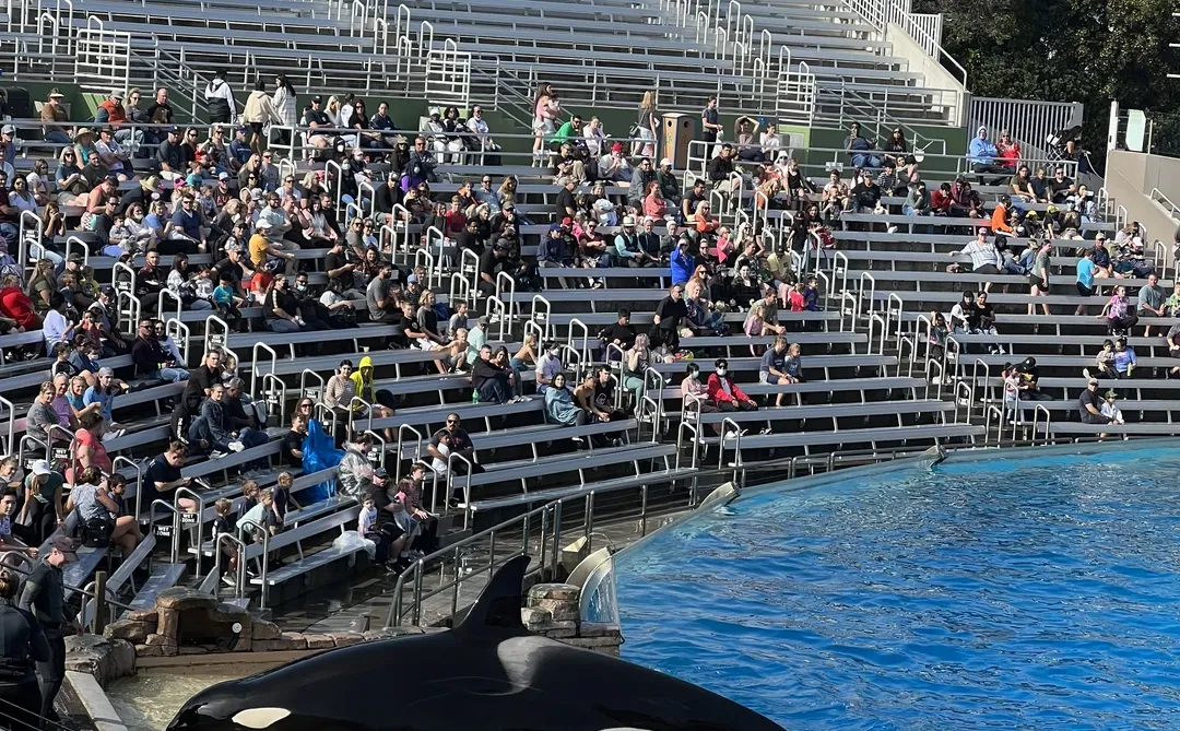 金融科技的尽头,不是技术门槛而是监管规则