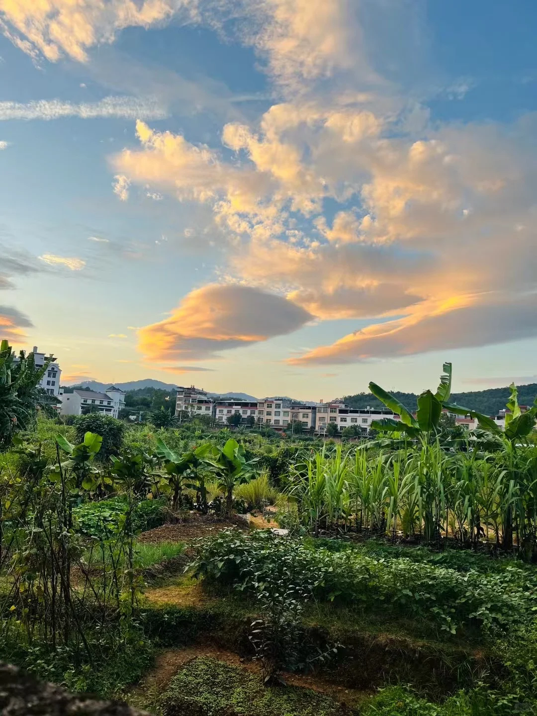 Tob销售_新人要了解的客户信息以及信息渠道