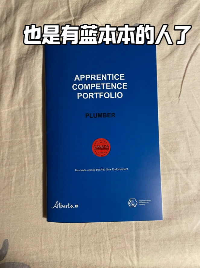 深度解析??水管工蓝皮书?