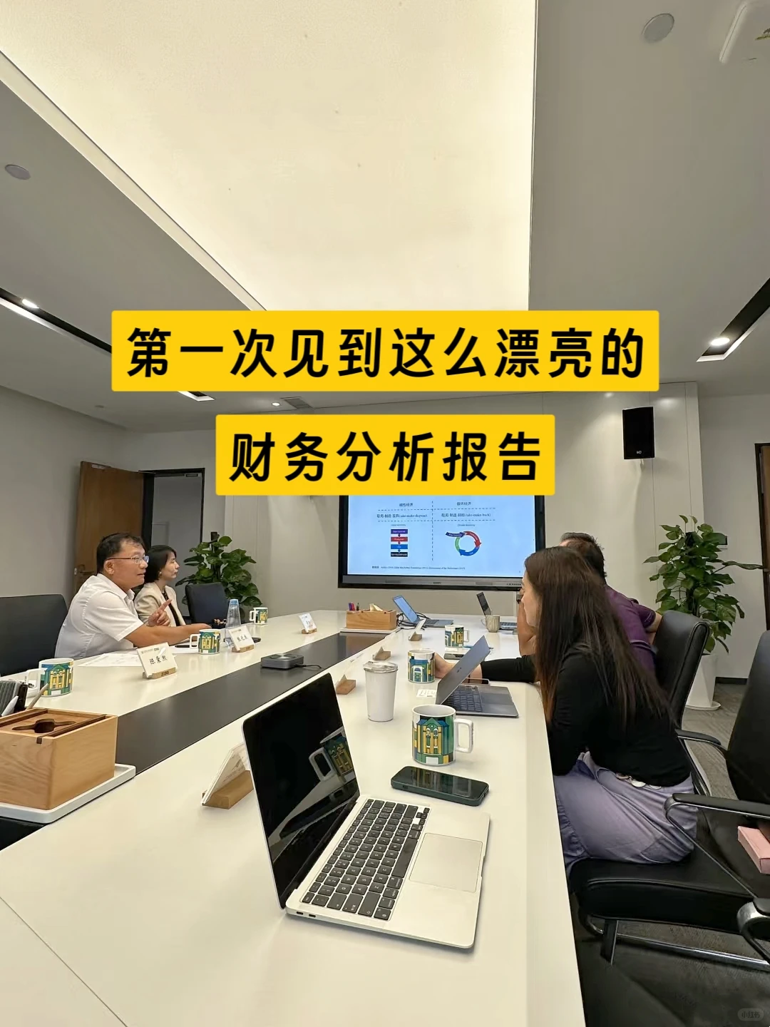 还是第一次见到这么漂亮的财务分析报告